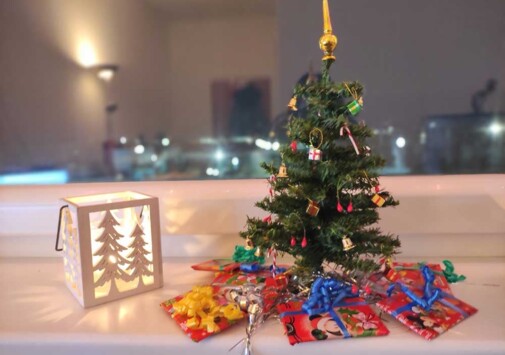 Weihnachtsspende durch Ladies Nettwork NÖ