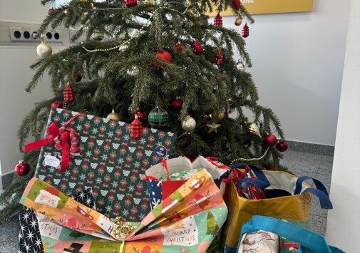 Hofer Christkind 2025