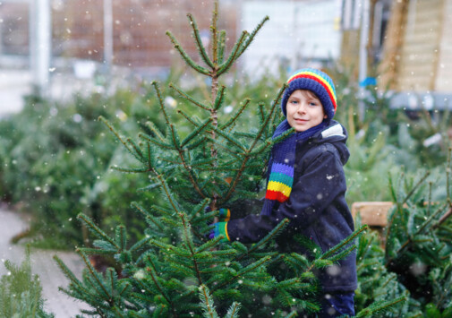 Weihnachtsbaumspende für Salzburger Wohnhäuser 