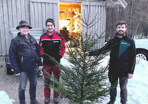 Christbaumspende der Bundesforste