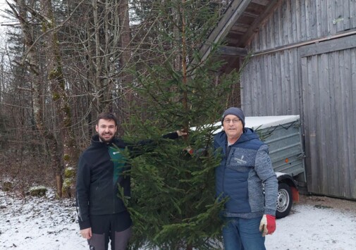 Christbaumspende Bundesforste