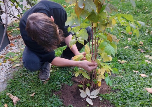 Gemeinsam für mehr Naturerlebnis